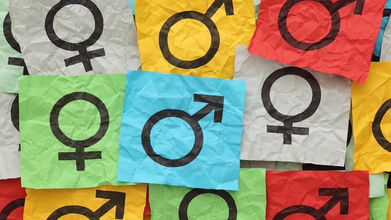 Public bodies must not conflate sex with gender in data, report author warns