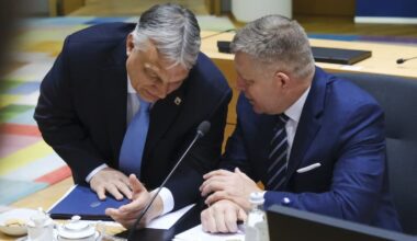 EU States Secretly 'Happy' for Hungary, Slovakia To Block Ukraine Aid ━ The European Conservative