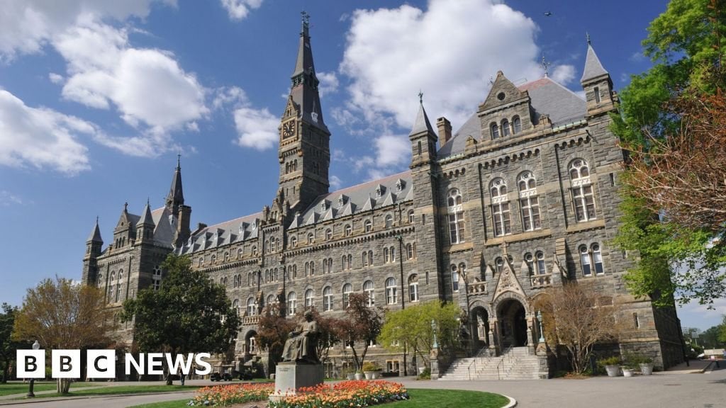 Badar Khan Suri: US court blocks deportation of Georgetown University researcher