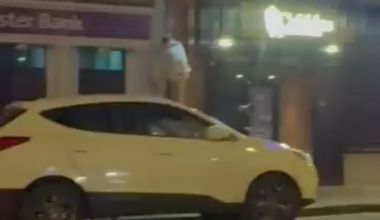 Newry Spiderman