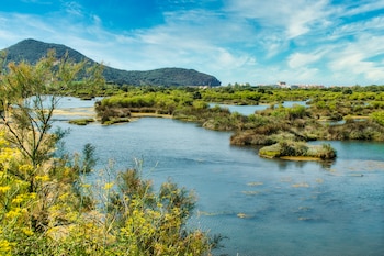 Parque Natural de las Marismas