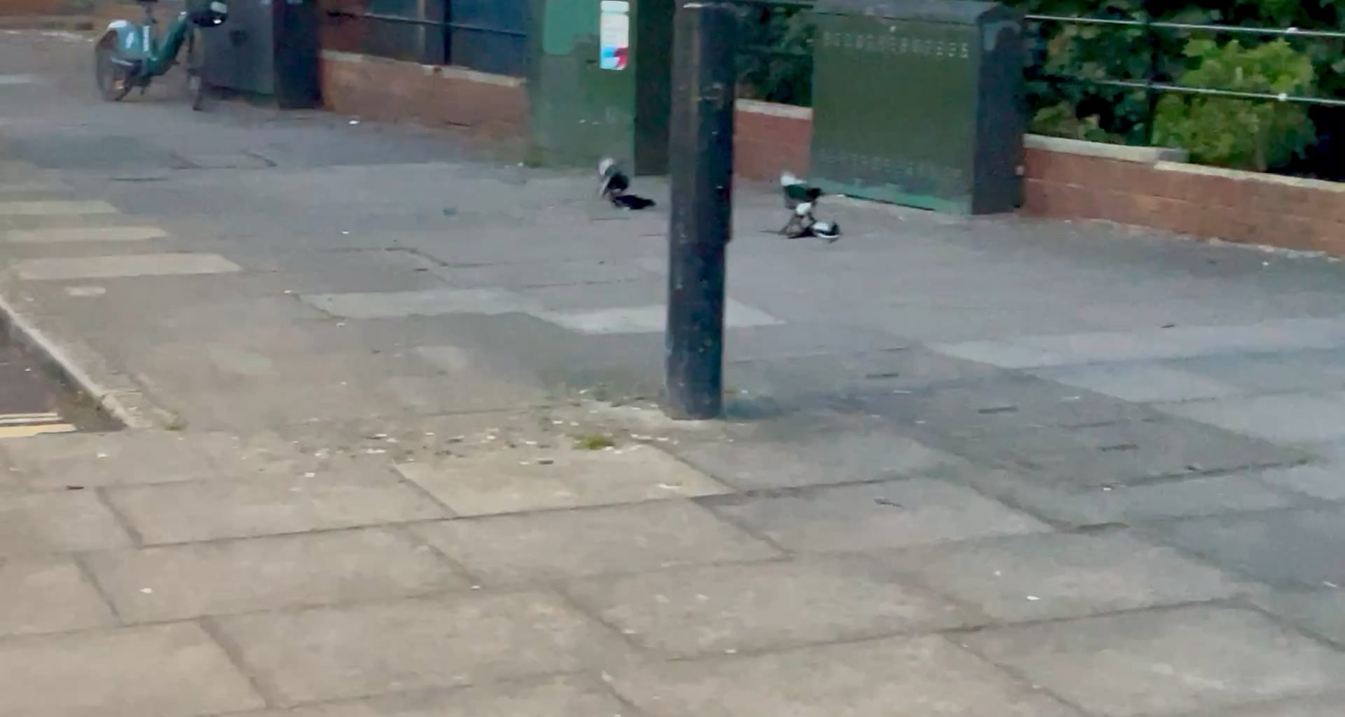 London gang brutal turf war!
