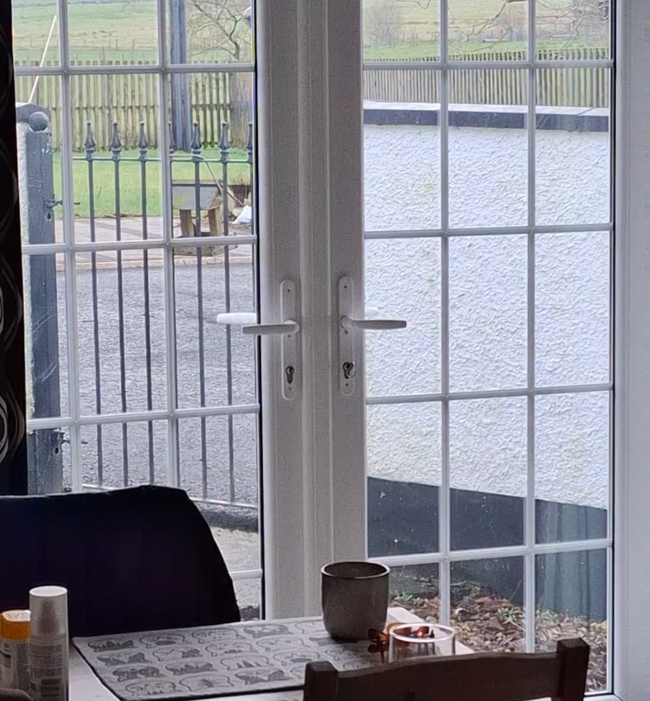 Birds demand breakfast.. sound on.