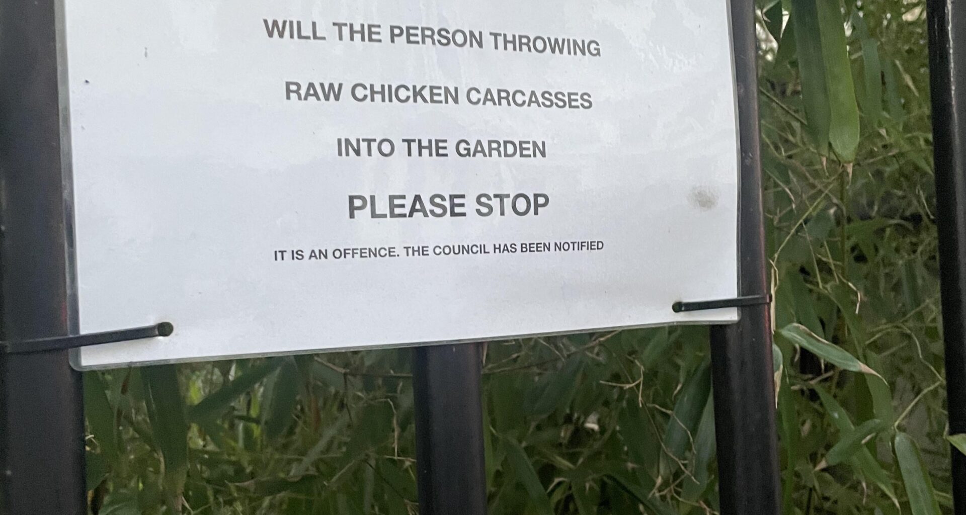Chicken thrower in Earl’s Court