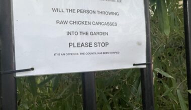 Chicken thrower in Earl’s Court