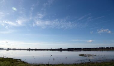 A general view of the marshes of Donana National Park, in Almonte, Huelva, on February 28, 2025 (CRISTINA QUICLER)