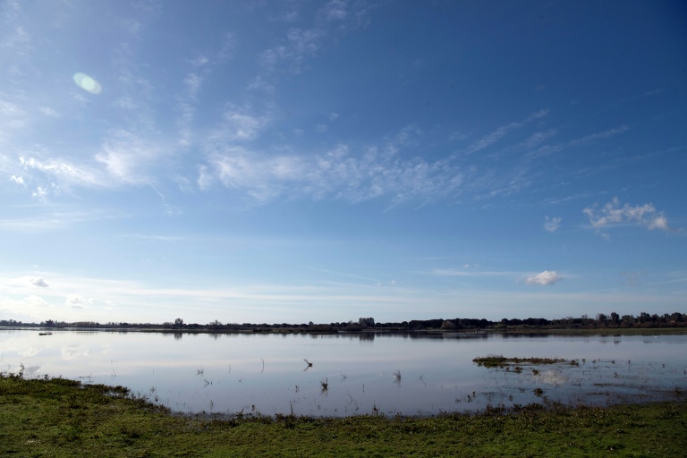 A general view of the marshes of Donana National Park, in Almonte, Huelva, on February 28, 2025 (CRISTINA QUICLER)