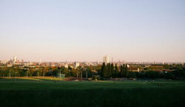 Is there anything better than the heath on a nice summers day?