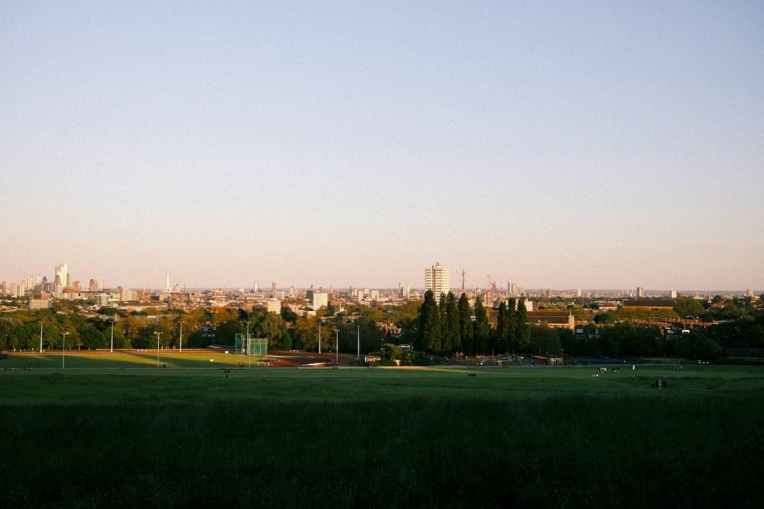 Is there anything better than the heath on a nice summers day?