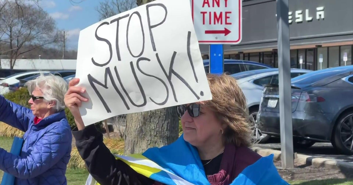 Protesters at Tesla dealership in New York decry Elon Musk, DOGE in peaceful rally