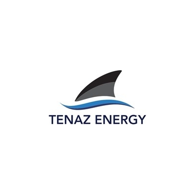 TENAZ ENERGY CORP. ANNOUNCES 2024 YEAR-END RESULTS