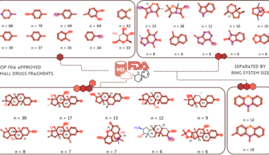 Most Common Molecular Fragments in FDA-Approved Small Drugs, Categorized by Ring System Size [OC]