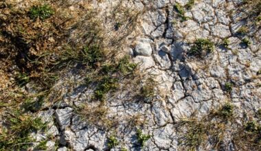 Dry days ahead as Cyprus faces rainless stretch, KNEWS