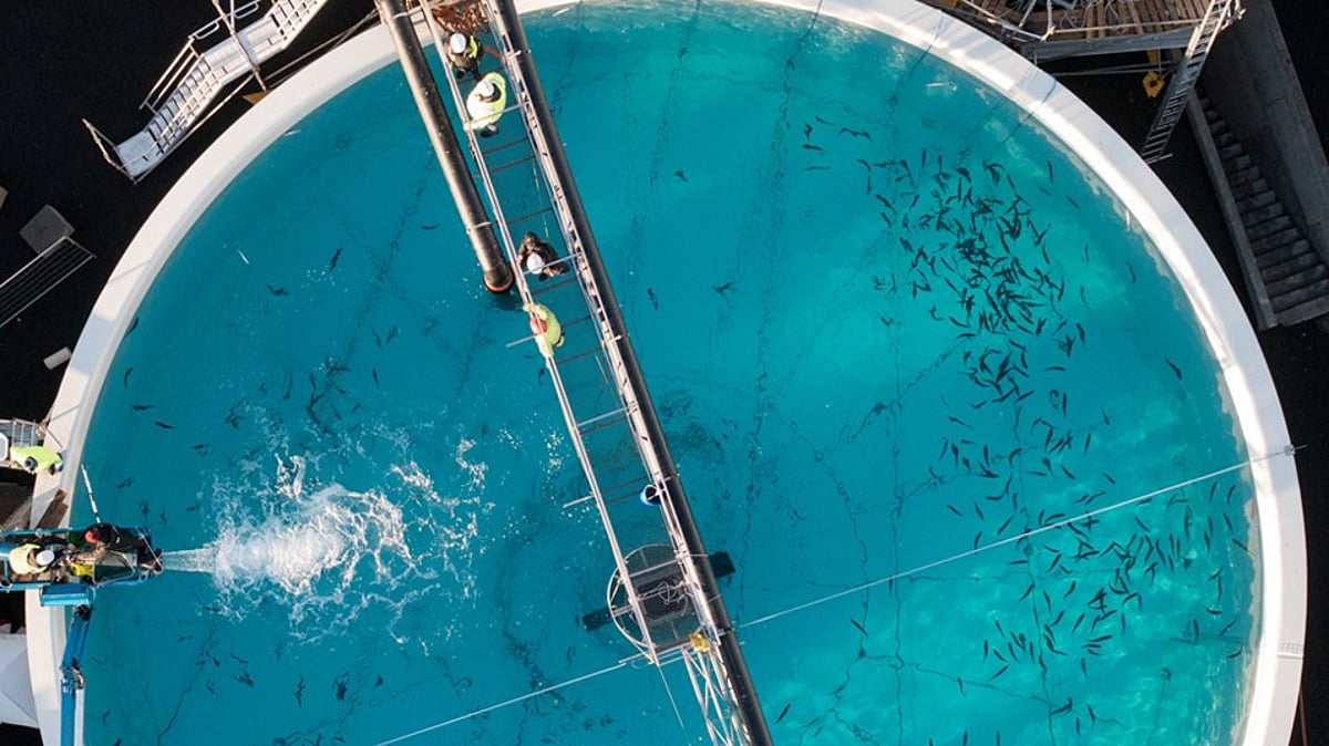 Icelandic aquaculture company First Water secures additional €39m investment