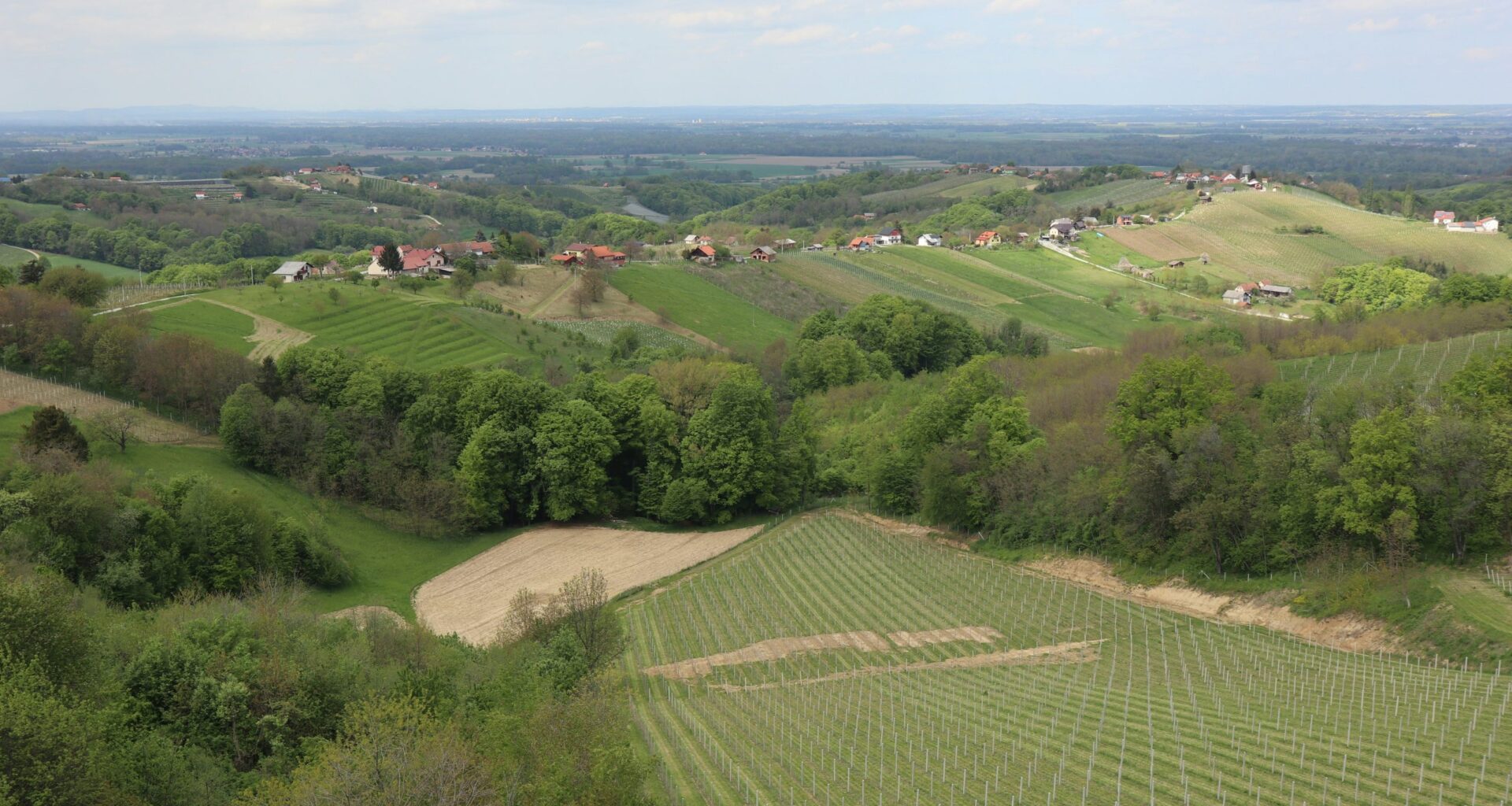 Agro Start Up Encourages Croatian Youth to Stay in Villages