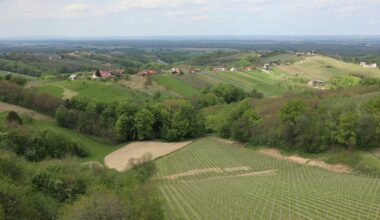 Agro Start Up Encourages Croatian Youth to Stay in Villages