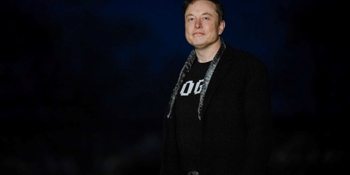 'That’s the big one to eliminate': Musk vows to cut a 'half trillion' from Social Security