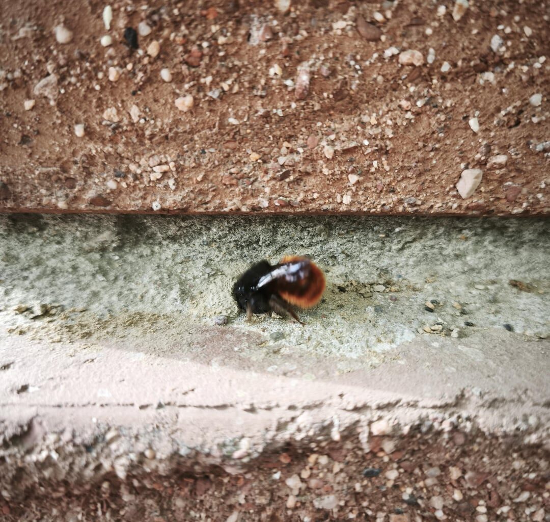 Wer bin ich, und bin ich gefährlich?