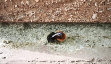 Wer bin ich, und bin ich gefährlich?