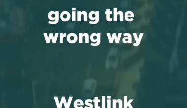 Three men sentenced following pursuit on Westlink
