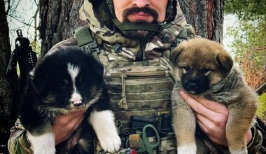 Soldier from the Khyzhak Brigade - of the Special Police Forces of Ukraine - in the Donetsk Oblast.