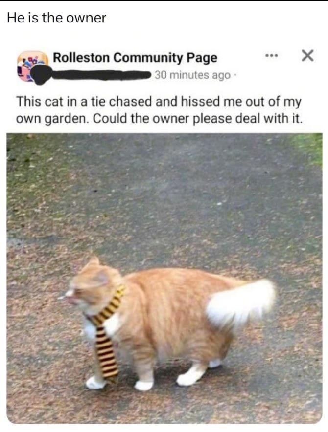 Kitty has 5 kids and a mortgage