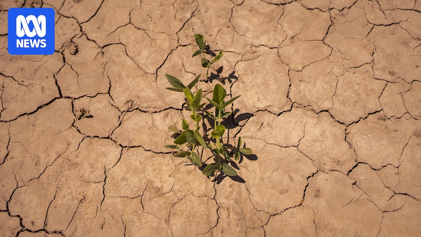 Earth losing freshwater and may have hit irreversible tipping point due to climate change