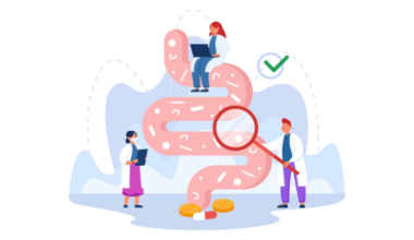 FAO Identifies Needs for Including Gut Microbiome Data in Food Chemical Safety Risk Assessment