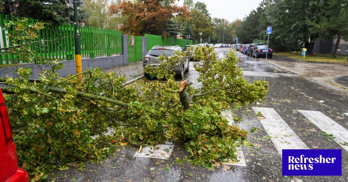 UDRIE SILNÝ VIETOR: V nárazoch dosiahne rýchlosť 50 km/h