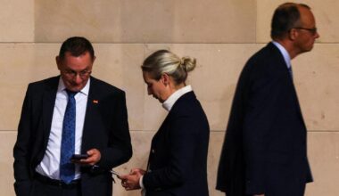AfD verzeichnet Rekord in neuer Umfrage