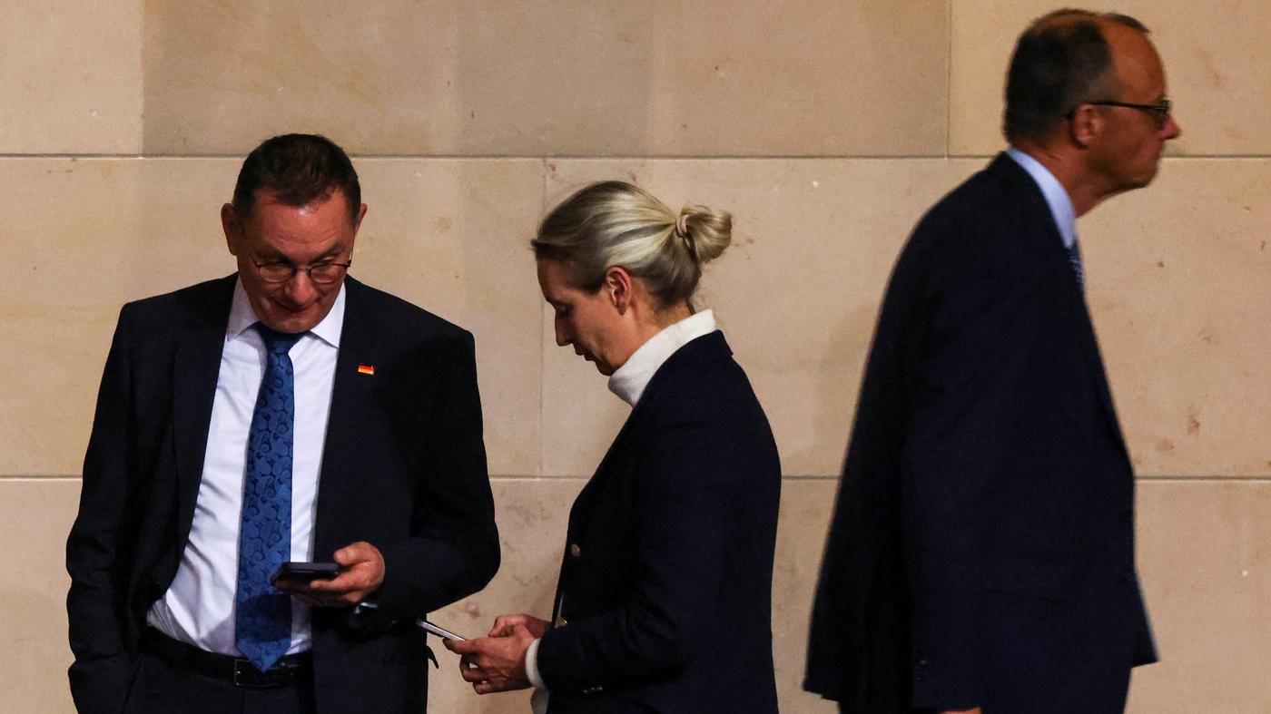 AfD verzeichnet Rekord in neuer Umfrage