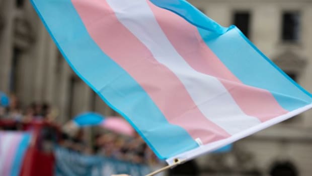De transvlag