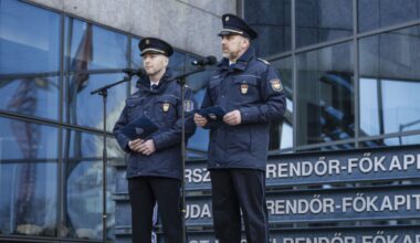 Joint custody critics alarmed after Japanese woman killed in Hungary