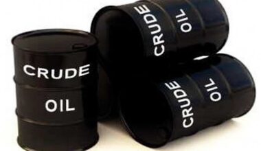 Nigeria Expands Crude Oil Supply to Europe with Medium Sweet Obodo Blend – THISDAYLIVE