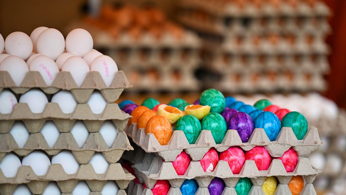 Vogelgrippe: Bleibt die Eier-Versorgung in Luxemburg stabil?