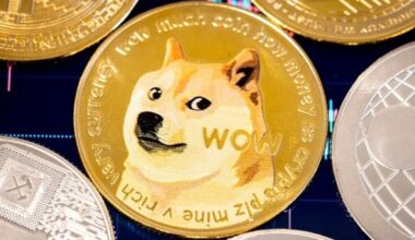 Bitcoin Reserve? No, 'House Of Doge' Just Launched A Dogecoin Reserve Valued $1.83 Million