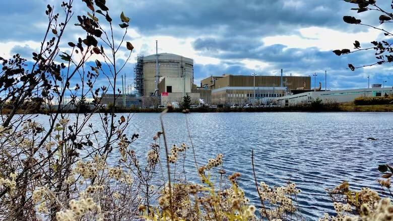 The Point Lepreau nuclear generating station is finishing off what may be its worst operational year since coming online in 1983. A problem with a cooling fan forced the plant to shutdown Monday. It is not expected to be back in service until late next week. (Marc Godbout/Radio-Canada - image credit)