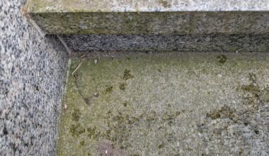 Was ist das?