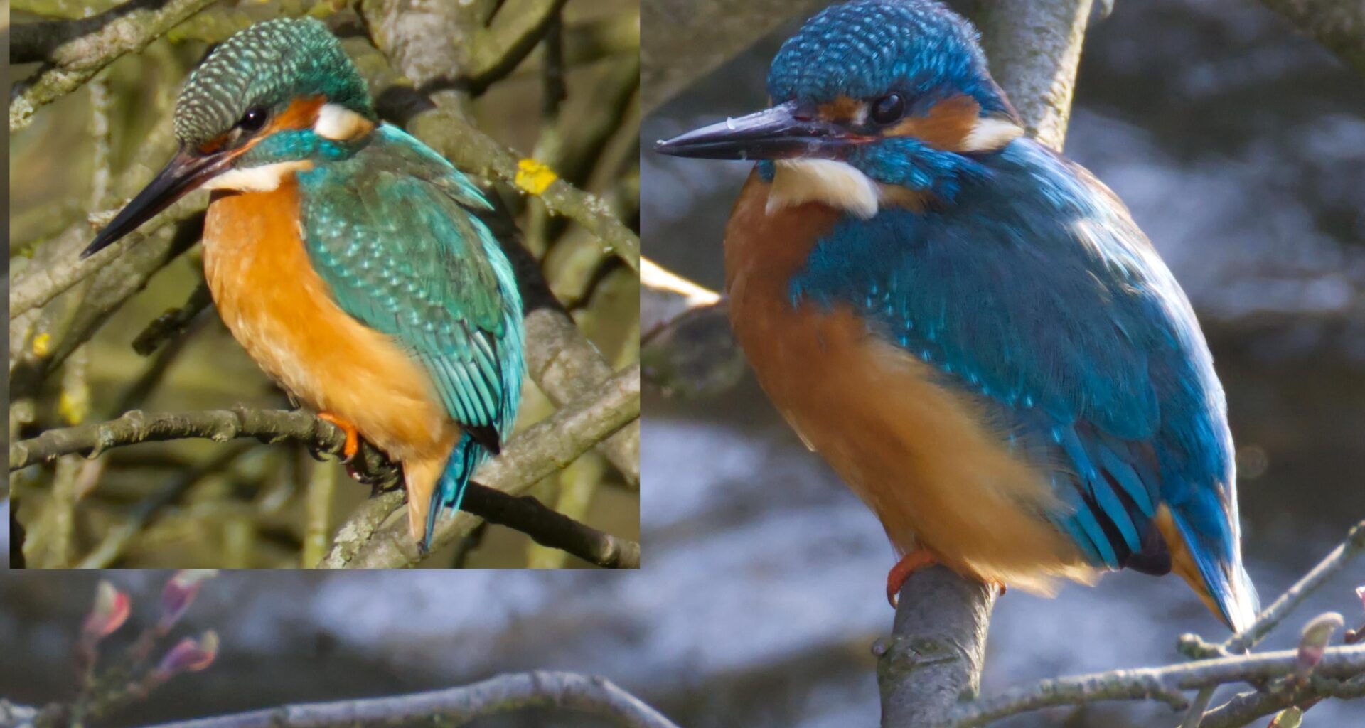 Und der Farbunterschied kommt nur vom Licht?