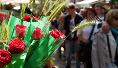 ¿Quieres montar una parada de rosas o libros por Sant Jordi? | Horta