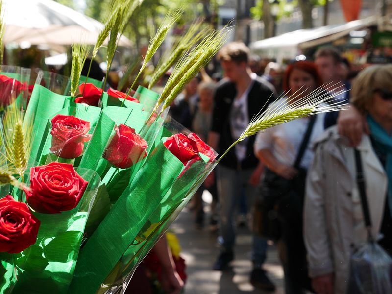¿Quieres montar una parada de rosas o libros por Sant Jordi? | Horta