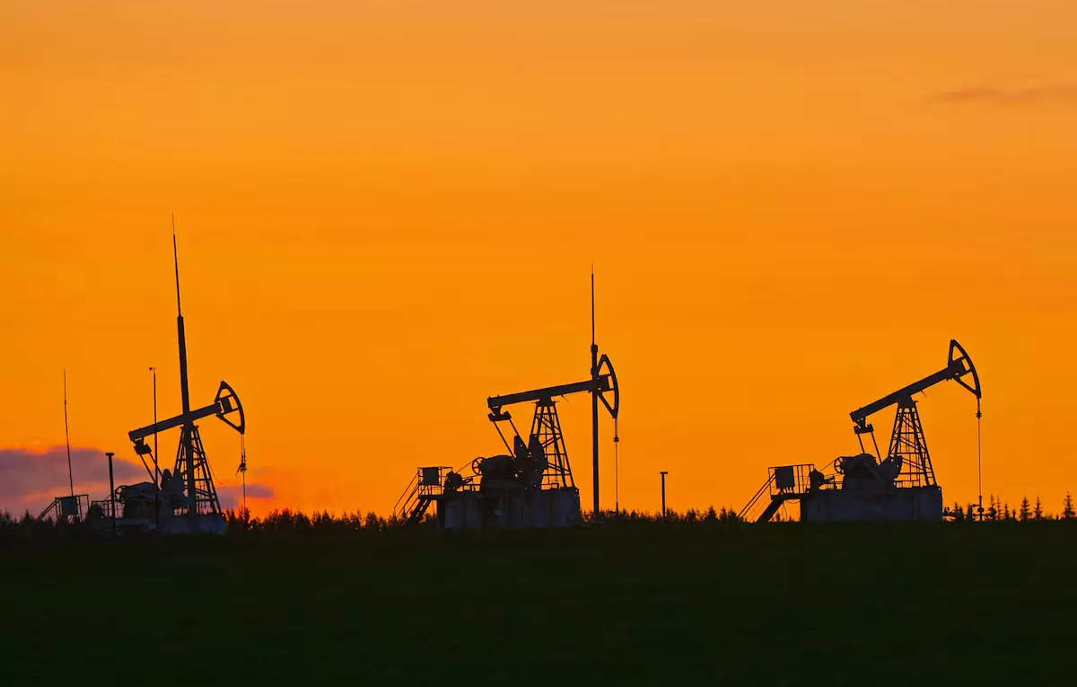 Domestic natural gas production drops 6.7% in Feb 2025, LNG imports rise 7.3%: PPAC, ET EnergyWorld
