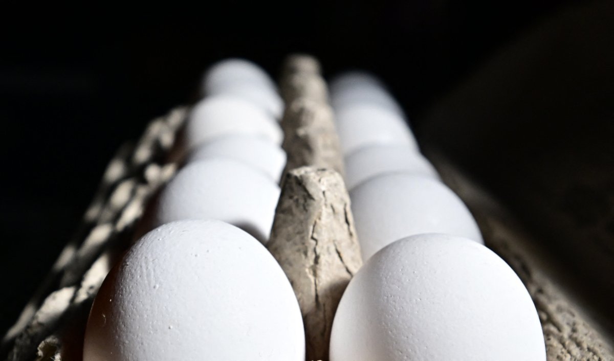 A dozen eggs are seen 