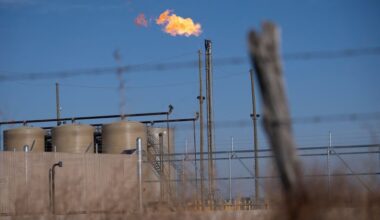 US natgas prices steady as record LNG flows offset record output