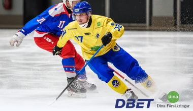 Sverige klart för VM-final efter seger mot USA