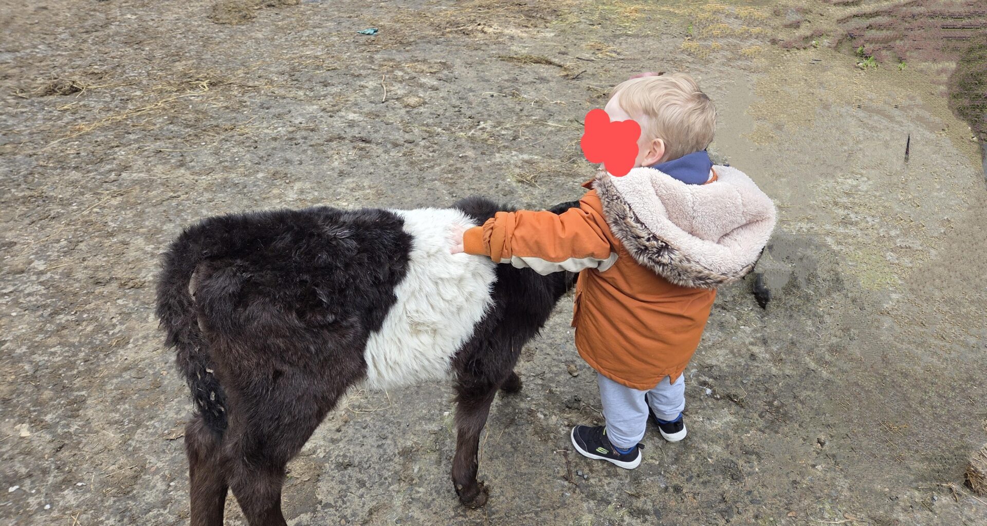 I was messing about with the editing on my phone and erased grandma and my brother so my toddler looks like the ultimate experienced farm hand
