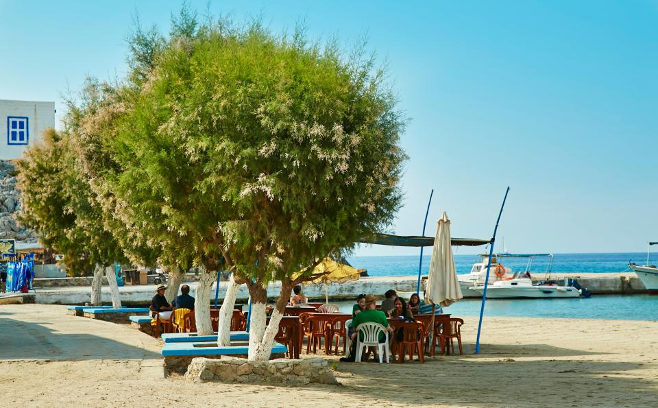 People sitting at tables under trees at a seaside cafe.