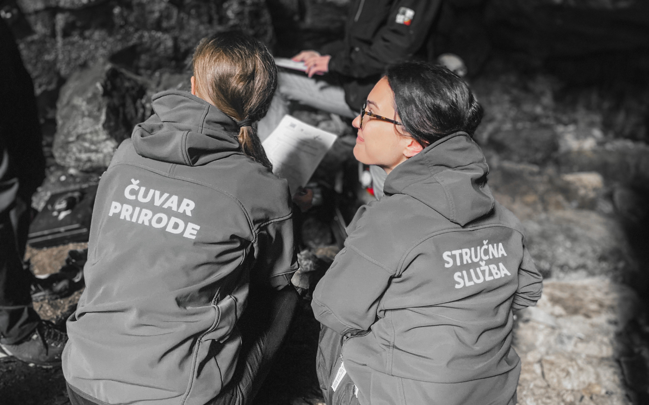 efficientn2k_sunce_cuvari_prirode