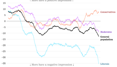 Americans’ impression of Tesla, by political affiliation [OC]