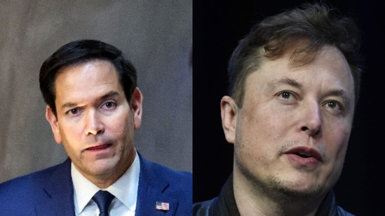 Elon Musk and Marco Rubio reportedly clashed during a cabinet meeting(AP, Reuters)